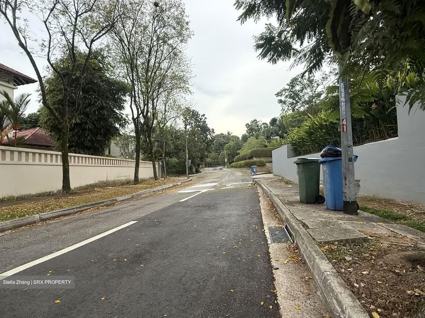 Leedon Park (D10), Detached #543494431